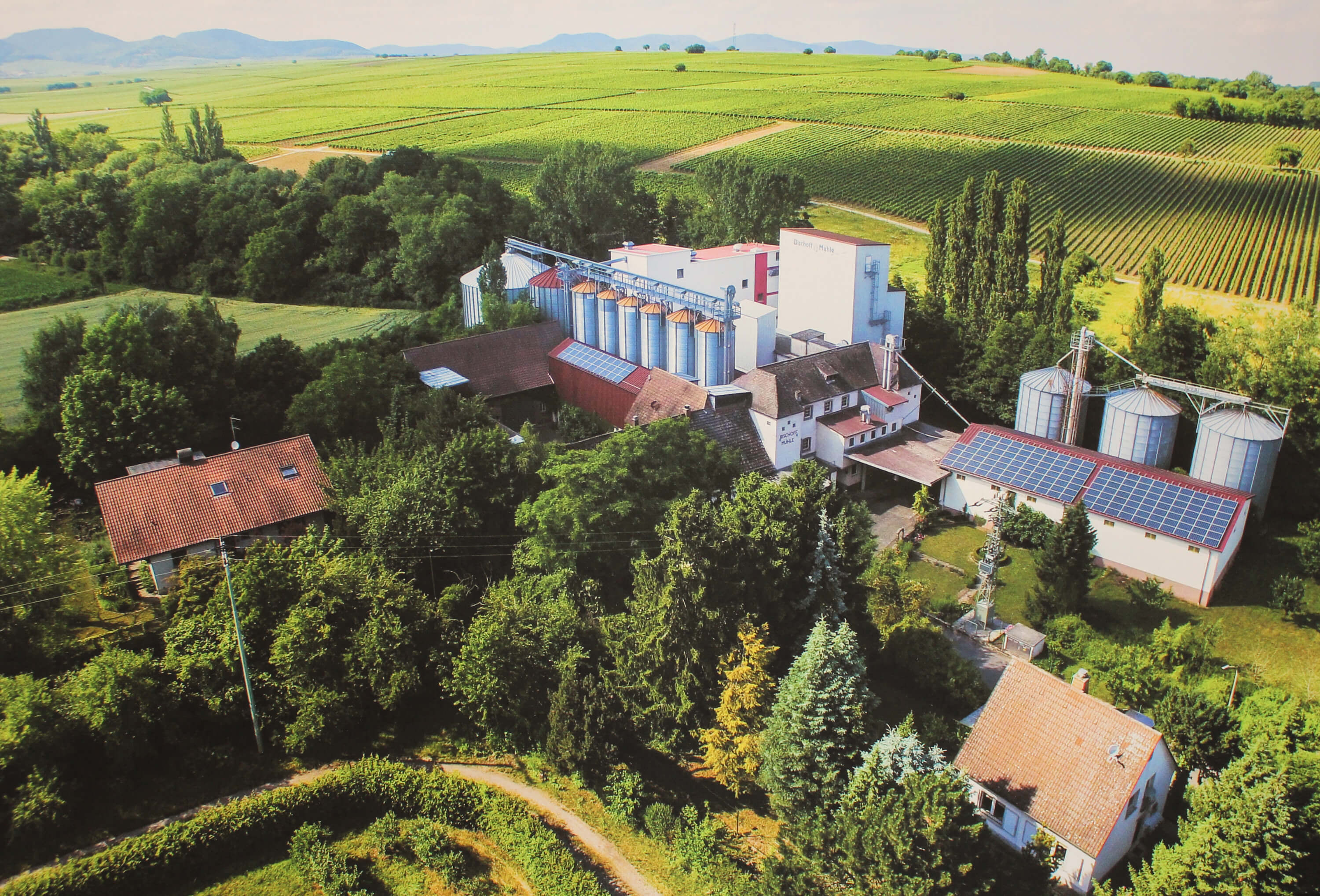 Die Mühle Bischoff Mühle